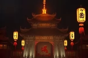 候鸟不南飞封面：冬季湖面上停留的候鸟群